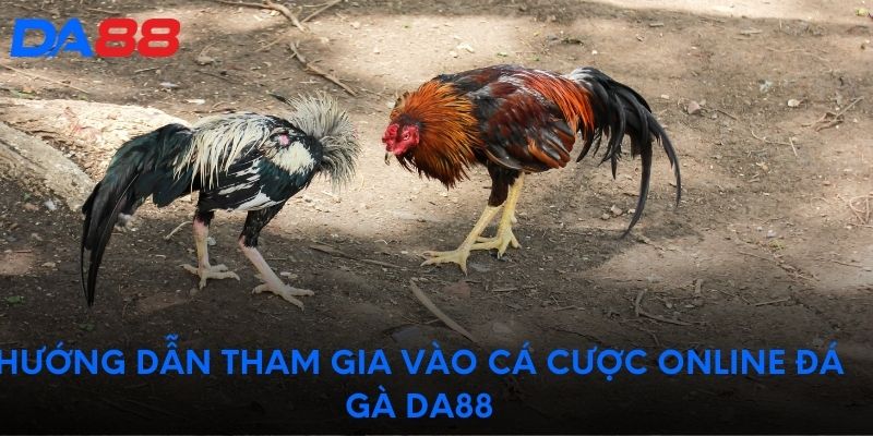 Hướng dẫn tham gia vào cá cược online đá gà DA88